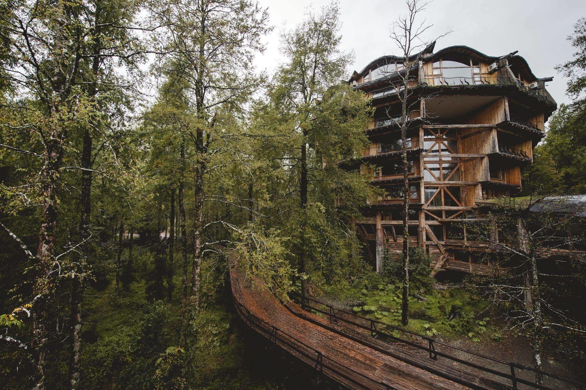 Huilo Huilo Nothofagus Hotel & Spa Пуерто Фуй Екстериор снимка