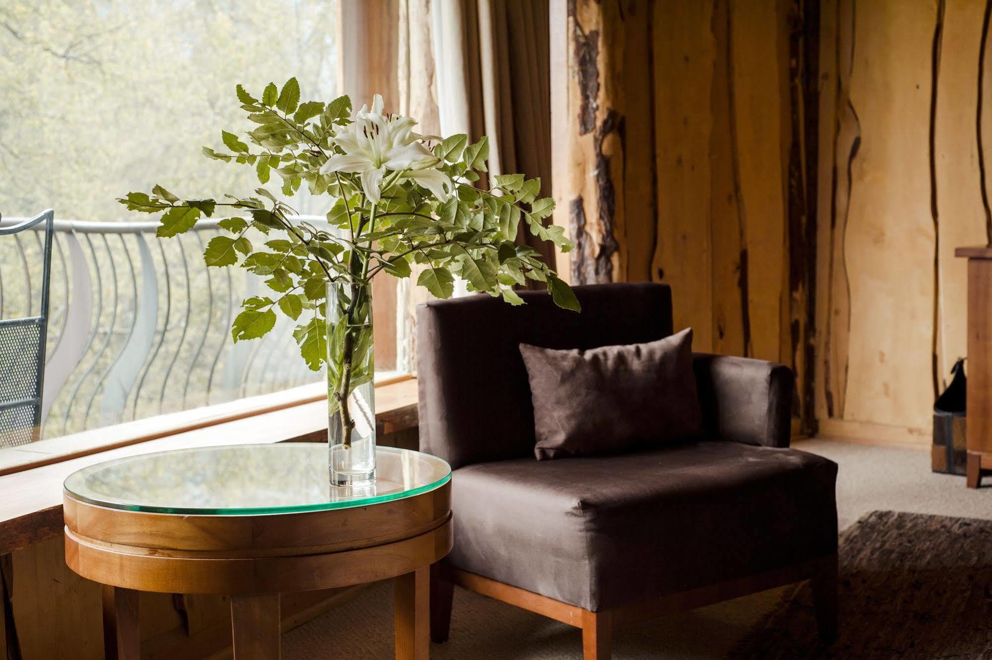 Huilo Huilo Nothofagus Hotel & Spa Пуерто Фуй Екстериор снимка